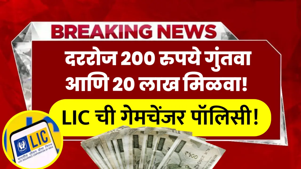 LIC Policy