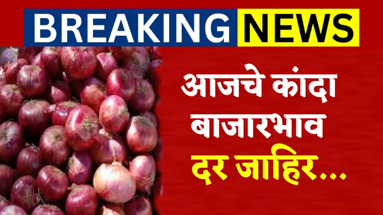 onion market rate today 27 april