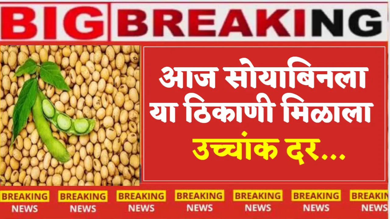 Soybean got the highest price at this place